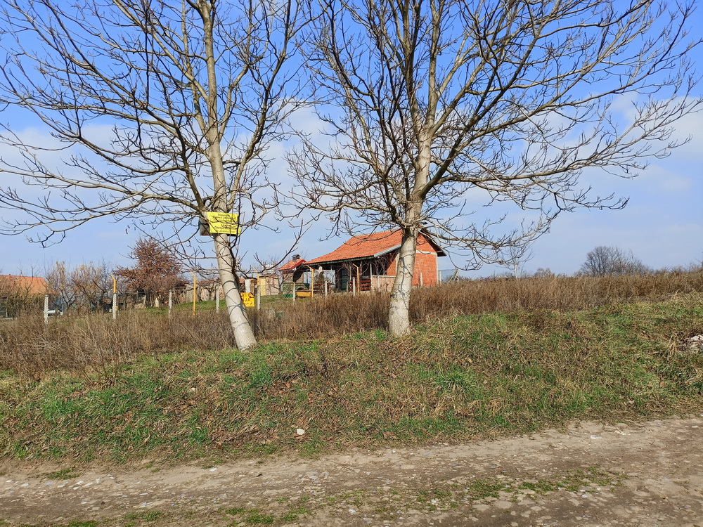 slika