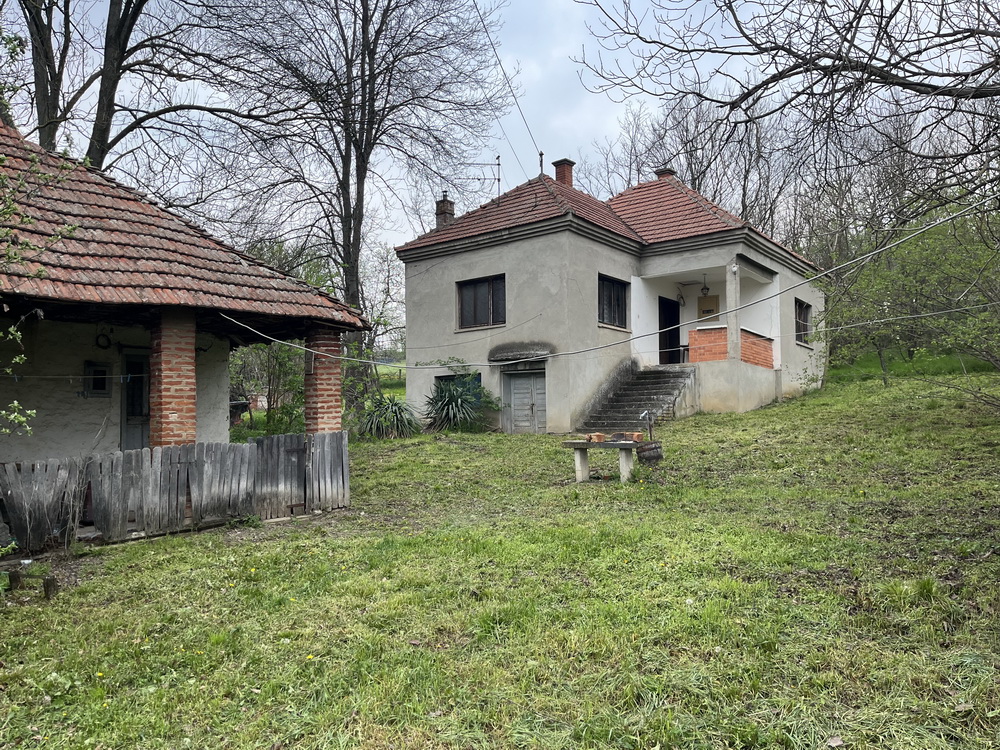 slika