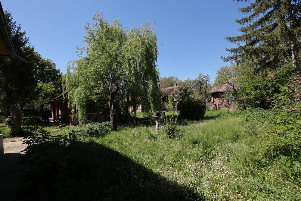 slika