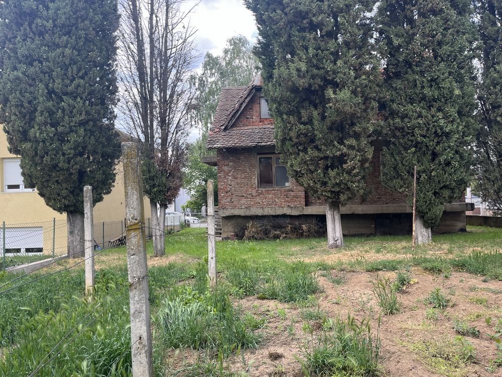 slika
